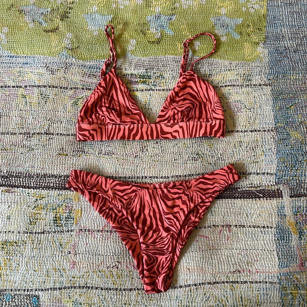 Acacia zebra set